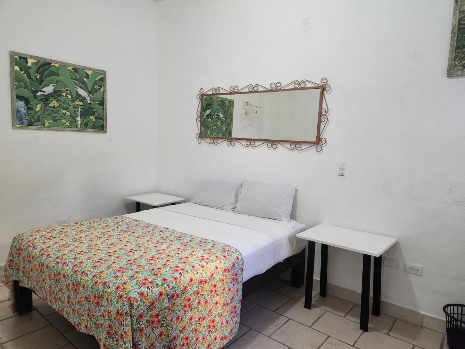 Bed and Breakfast Alexandross à Puerto Vallarta Extérieur photo